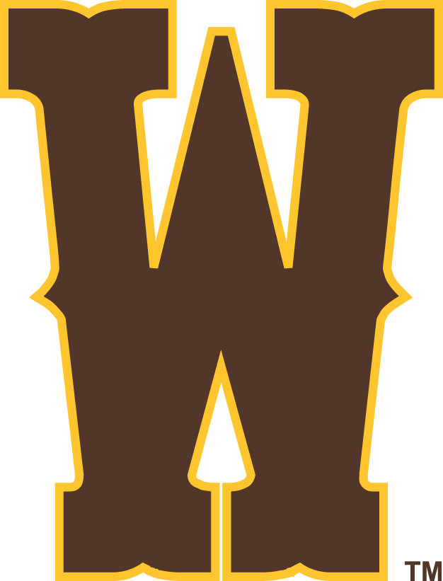 Wyoming Cowboys 2013-Pres Secondary Logo iron on transfers for fabric